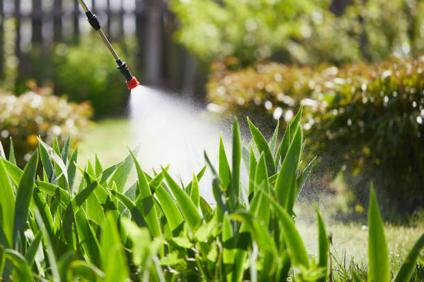 24/7 Emergency Termite Control experts in Amesti, CA